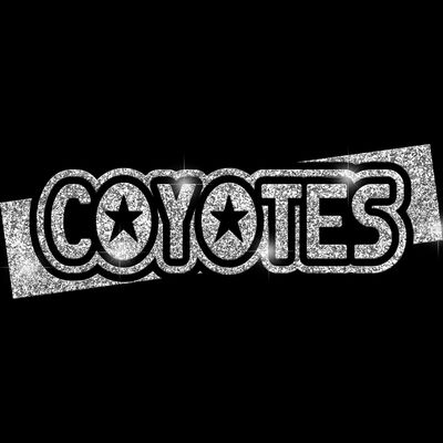 GLT96 SILVER GLITTER Thumbnail